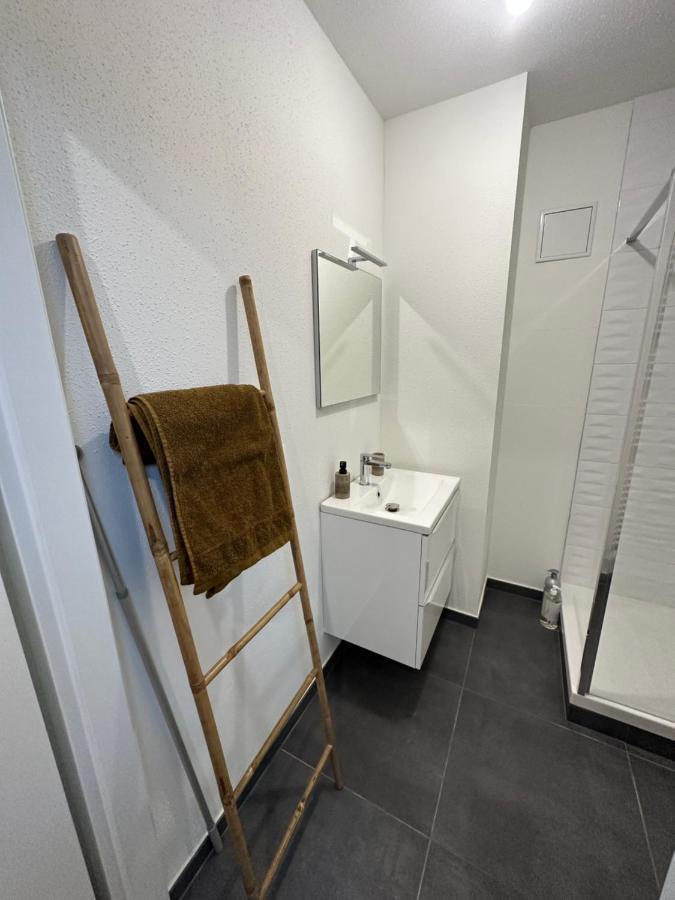 Atypique Proche Gare/ Dans L'hyper-centre Spacieux Pour 6p Au Coeur De * Mulhouse